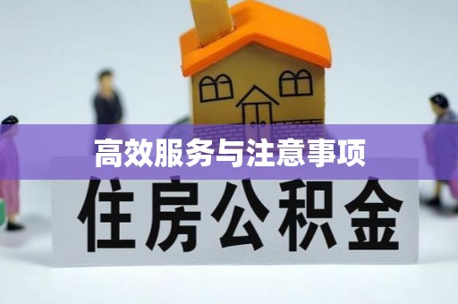 商洛高效服务与注意事项